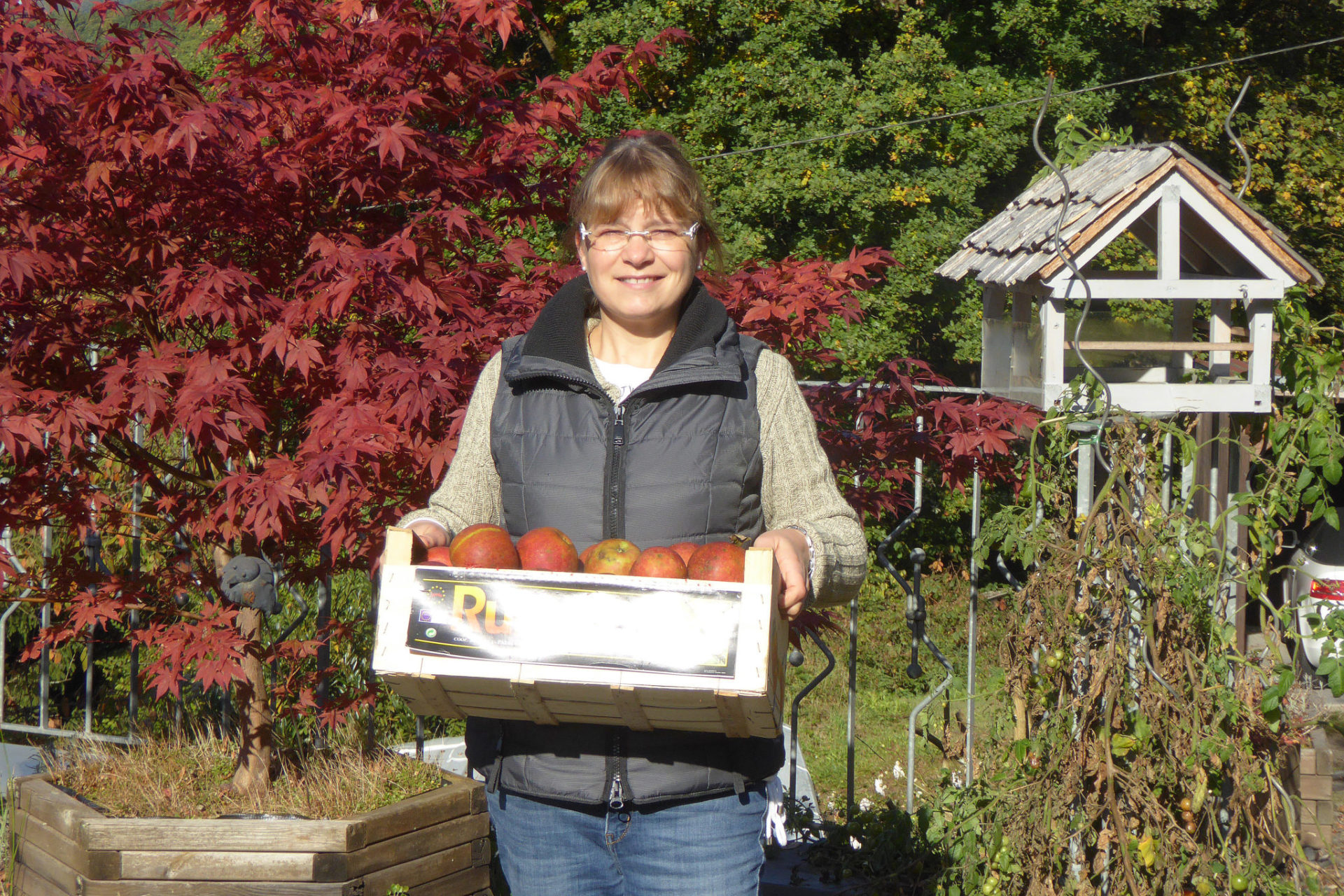 Herbstzauber – mit Äpfeln richtig umgehen, backen und kochen